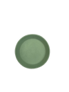 Painted Plate C