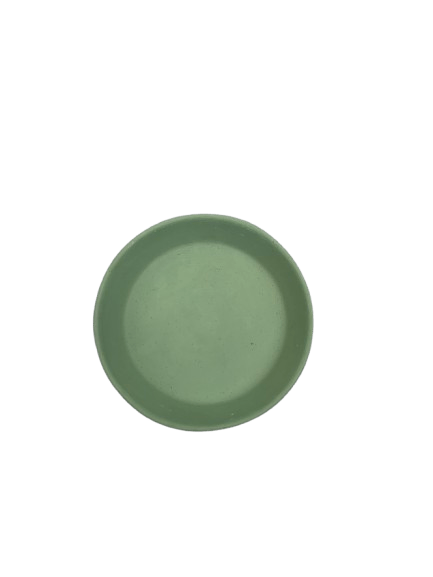 Painted Plate C