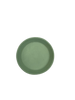 Painted Plate C