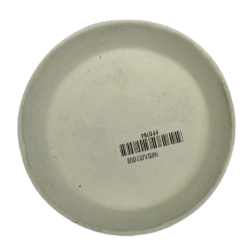 Painted Plate E