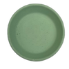 Painted Plate E