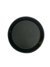 Painted Plate B