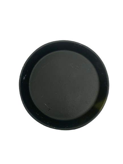 Painted Plate B
