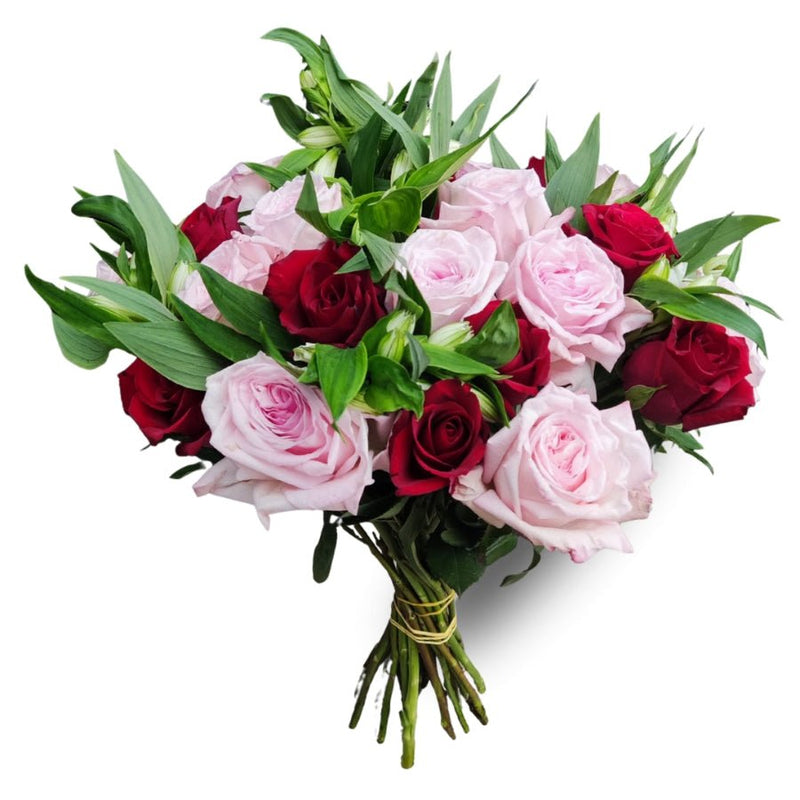 Large Scented Alstro