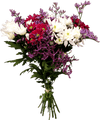 Chrysanthemums Bouquet