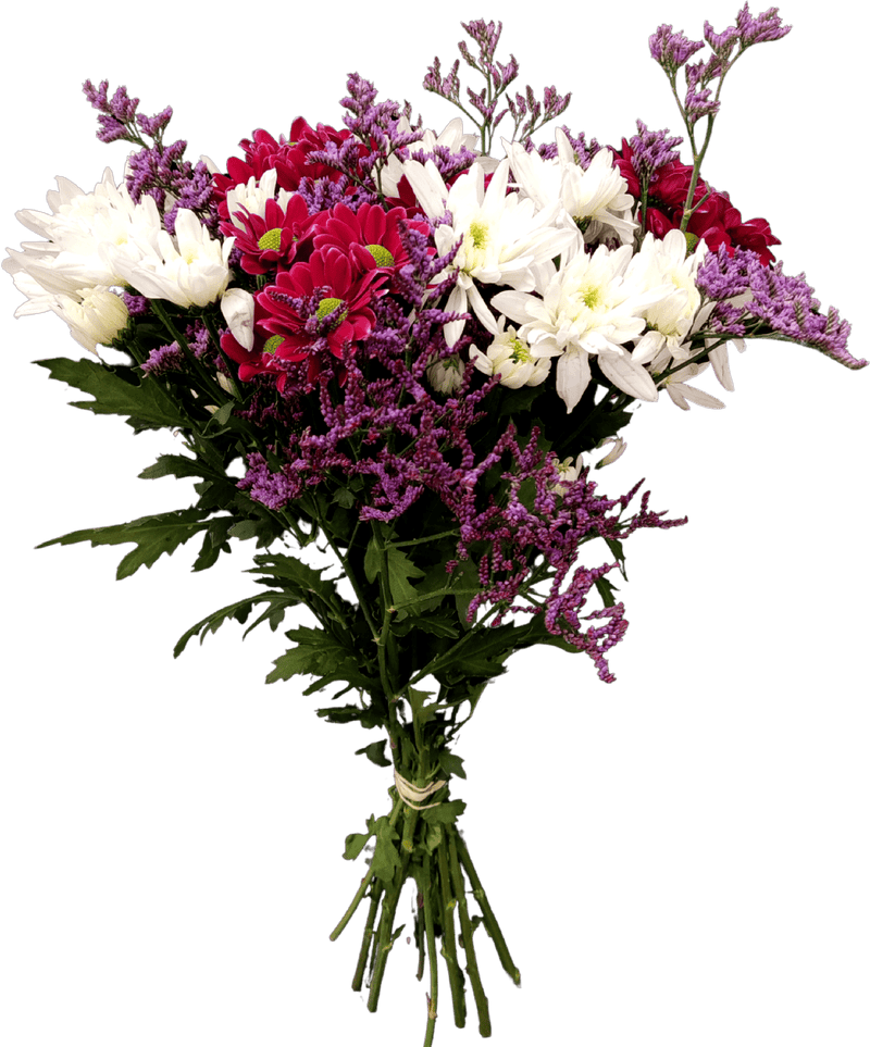 Chrysanthemums Bouquet