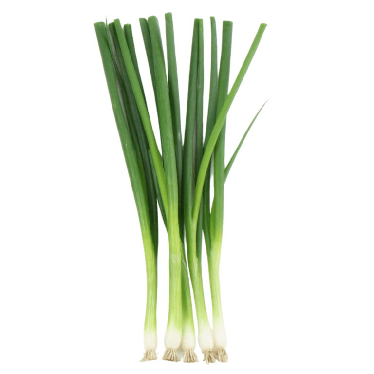 Jidan White Salad Onions, 100g