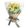 Easter Flowering Pot, 12cm