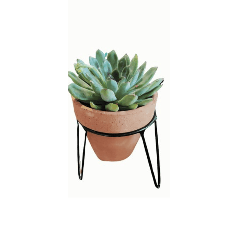 Table Stands B 10cm by 11cm