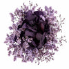 Vermont Adele Plum Purple Preserved Flowers