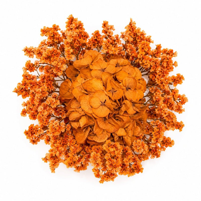 Vermont Coralle Orange Preserved Flowers