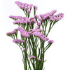 Statice Bunch
