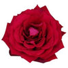 Tambuzi Scented Roses