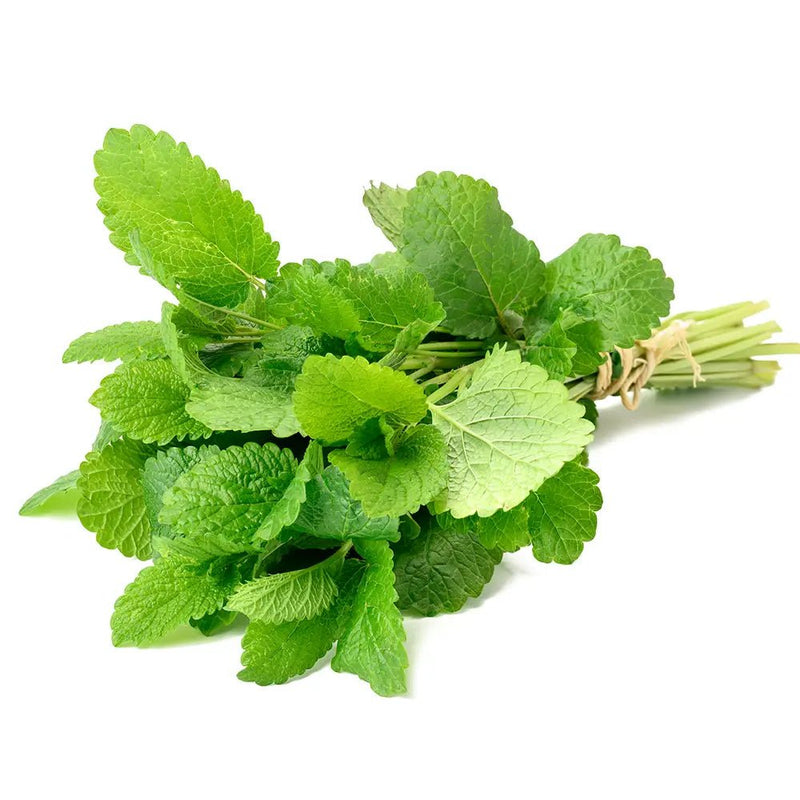 Jidan Mint Premium, 50g